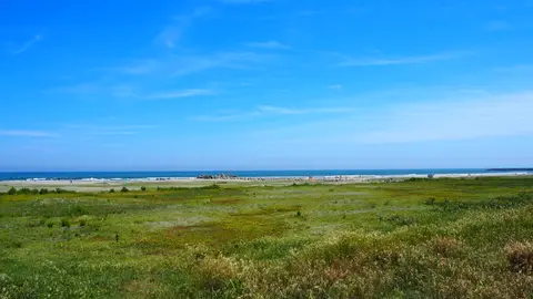 大洗サンビーチ海水浴場