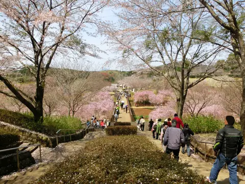 石岡市 常陸風土記の丘
