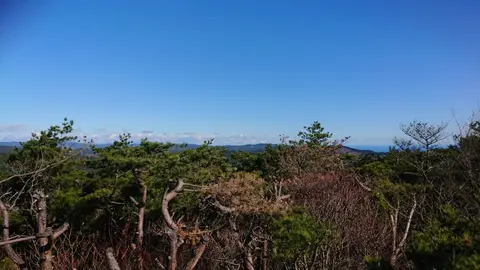 竪破山