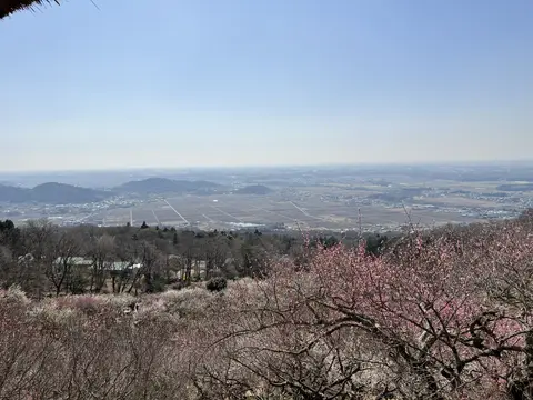 筑波山梅林