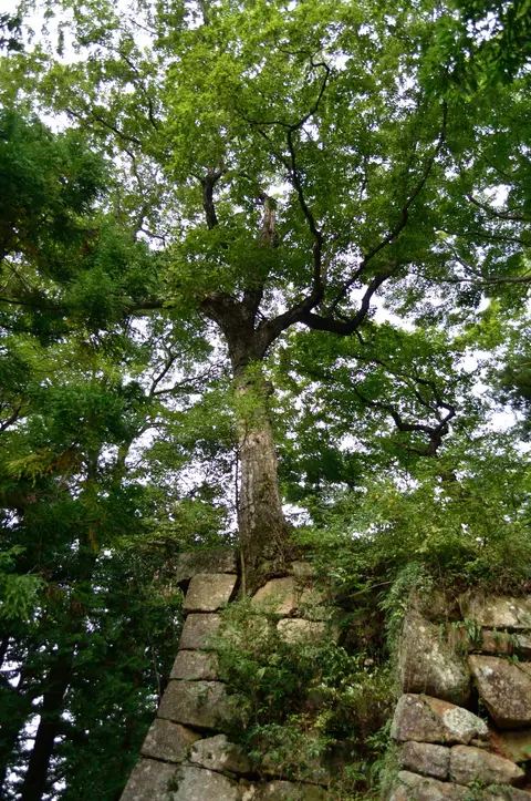 笠間城跡