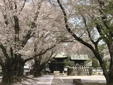 弘経寺