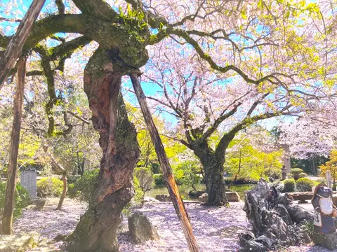 東城寺