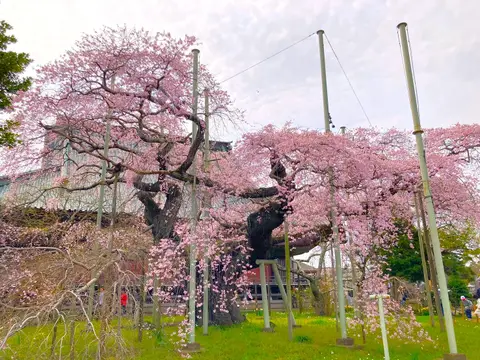 般若院