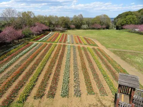 木原城址城山公園