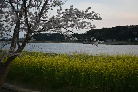 安塚公園
