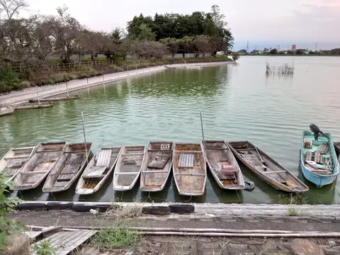 砂沼広域公園