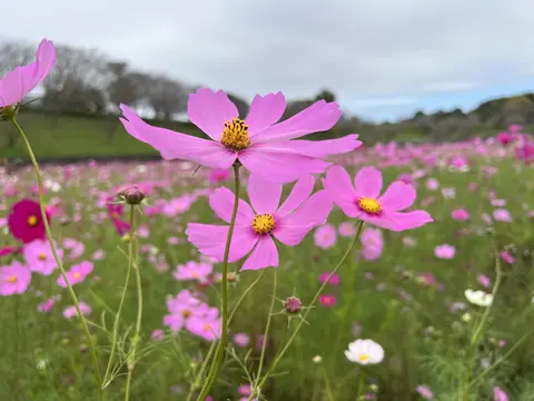 小美玉市希望ヶ丘公園
