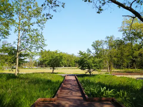 清水洞の上公園