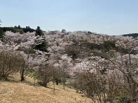 西山公園
