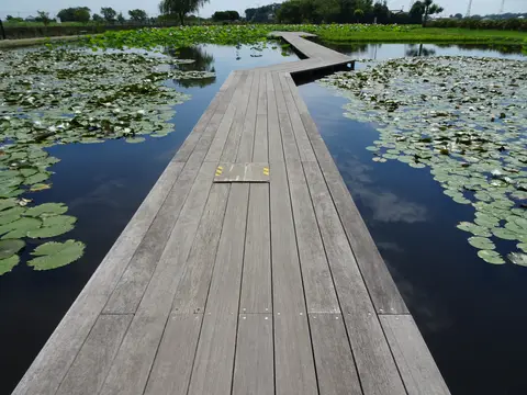 利根親水公園
