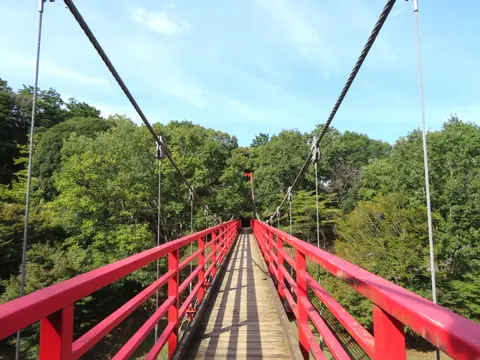 涸沼自然公園