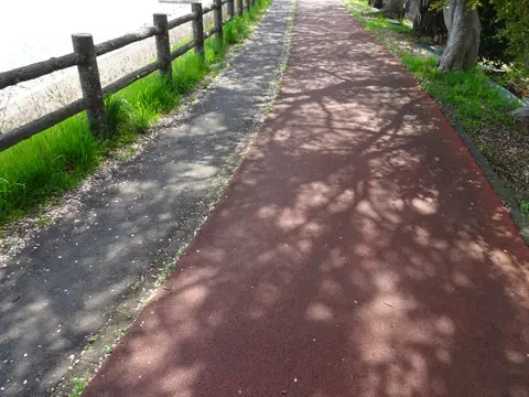 砂沼遊歩道