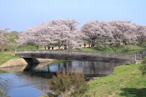 福岡堰