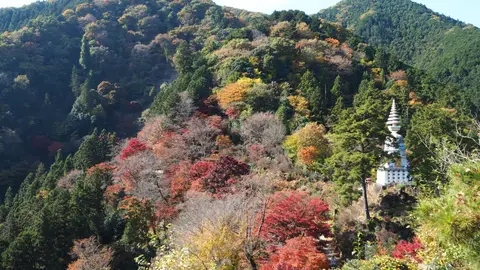 白雲山 鳥居観音