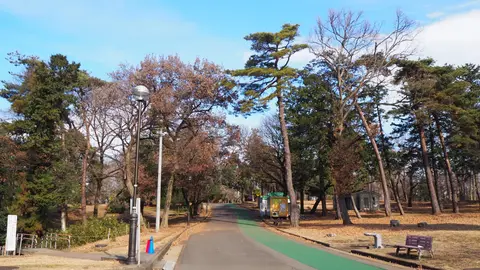 県営狭山稲荷山公園