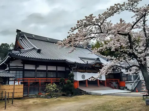 大光普照寺