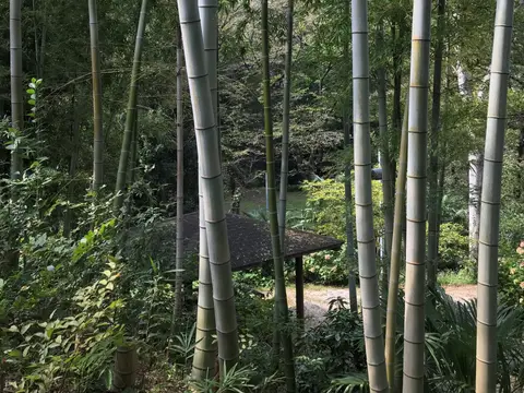 朝霞市博物館