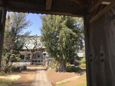 東圓寺