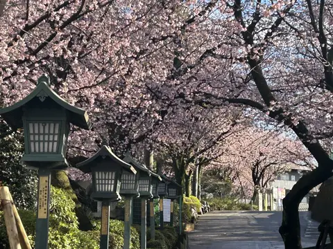 密蔵院