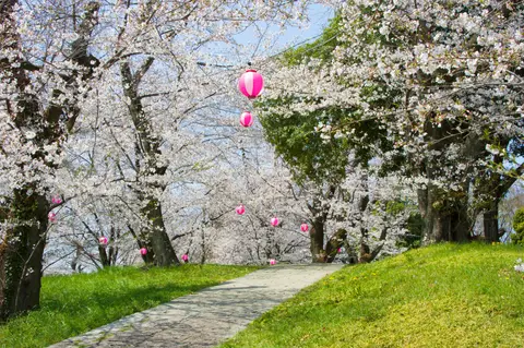 雉岡城跡