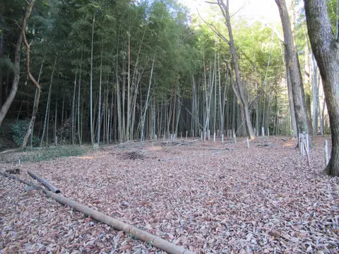 烏山城跡
