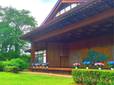 黒羽城址公園のアジサイ