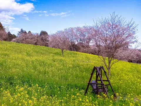 小宅古墳群