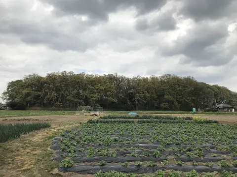 天神山古墳