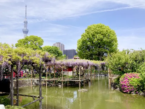 亀戸天神社