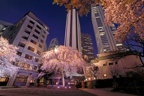 常圓寺