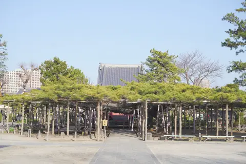 善養寺