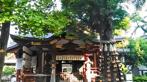 素盞雄神社