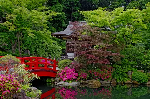 貫井神社