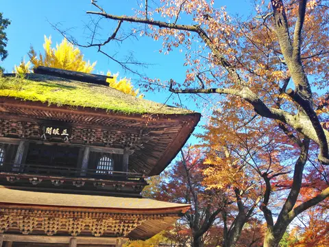 広徳寺