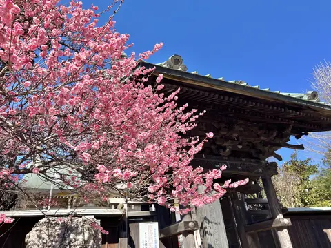 多聞寺