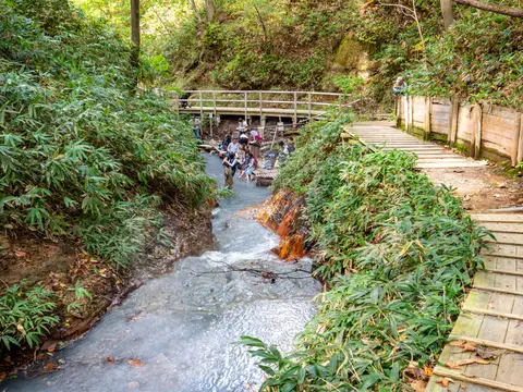 大湯沼川天然足湯