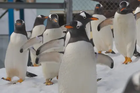 おたる水族館