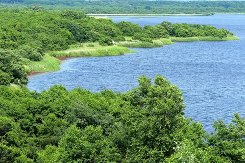 ウトナイ湖