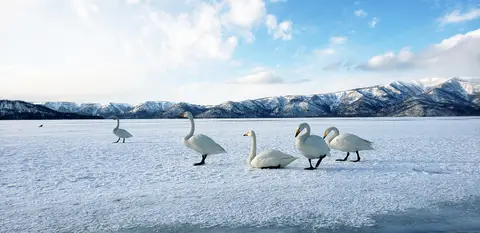 屈斜路湖