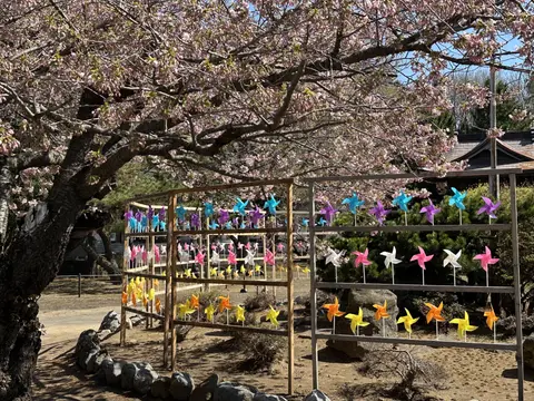 岩内神社