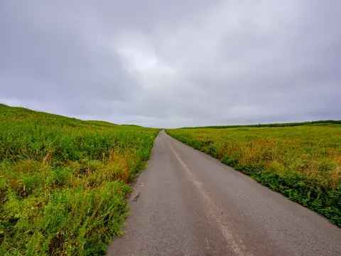 龍宮街道