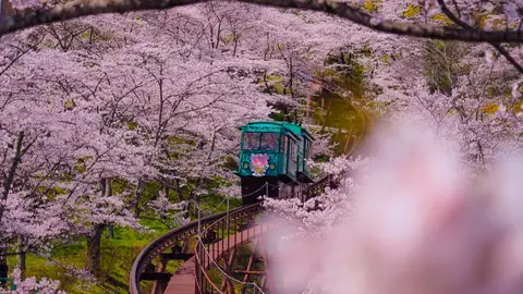 船岡城址公園
