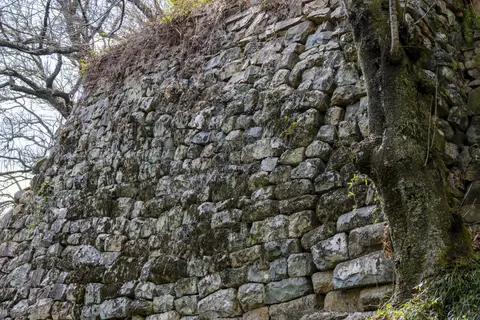 金山城址