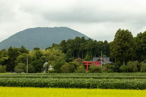 薬莱神社