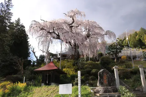 大聖寺