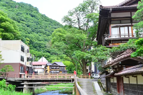 東山温泉