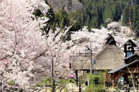 湯野上温泉