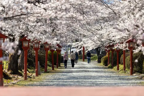 涼ヶ岡八幡神社