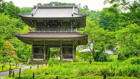 林泉寺